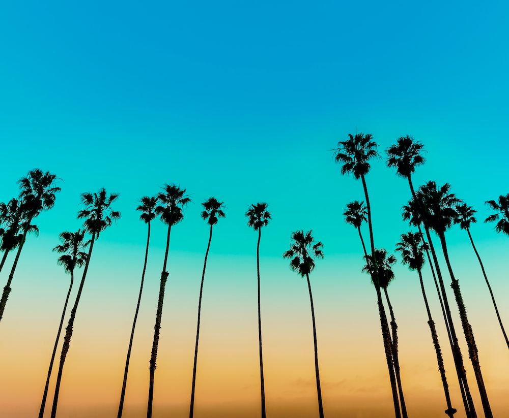 About Santa Barbara and Santa Barbara Kennel Club